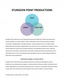 STURGEON POINT PRODUCTIONS