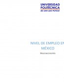 Nivel de empleo en México.