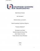 María Guadalupe Castorena Esparza.