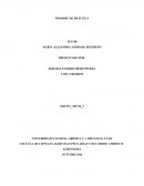 Informe de practica planificacion territorial.