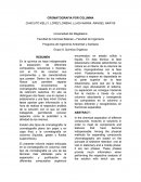 Informe de cromatografia de columna.