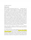 Las medidas coerctivas.