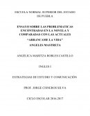 Ensayo sobre libro Arrancame la Vida