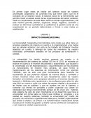 IMPACTO ORGANIZACIONAL.
