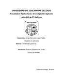 Catedrática: Jorge Edmundo López Padilla.