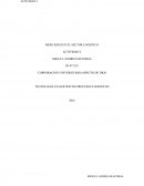 TECNOLOGIA EN GESTION DE PROCESOS LOGISTICOS.