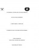 La Filosofia del derecho. Trabajo