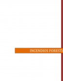 INCENDIOS FORESTALES. CONCEPTOS BÁSICOS Y DEFINICIÓN