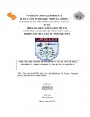 SUPLEMENTACIÓN CON SILO DE MAÍZ Y CAÑA DE AZUCAR PARA MEJORAR LA PRODUCCIÓN DE LECHE EN VACAS MESTIZAS