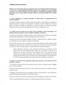 Desarrollo socioafectivo.