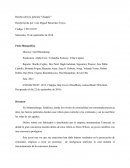 Reseña sobre la película “Chappie”