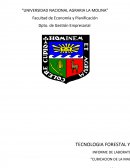 Cubicacion de la Madera.