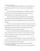 Analisis pelicula ¿Y tú cuanto cuestas?