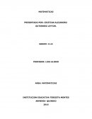 INSTITUCION EDUCATIVA TERESITA MONTES.