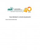 Tarea individual 2: La función de planeación.