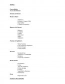 Manual Cuentas por Pagar