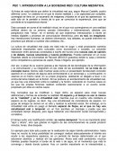 INTRODUCCIÓN A LA SOCIEDAD RED: CULTURA MEDIÁTICA.