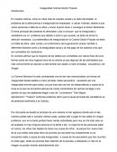 Inseguridad en la colonia sector popular.