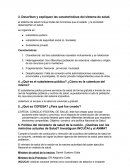 Describan y expliquen las características del sistema de salud.