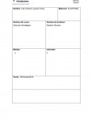 PROYECTO TEC MILENIO