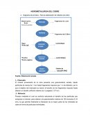 HIDROMETALURGIA DEL COBRE