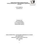 CENTRO AGROINDUSTRIAL Y FORTALECIMIENTO EMPRESARIAL DEL CASANARE
