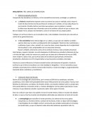 WALLERSTEIN: TRES LINEAS DE DEMARCACION.