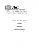 Diagnostico Prenatal. Cuadro descriptivo