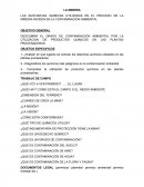 LA MINERIA LAS SUSTANCIAS QUIMICAS UTILIZADAS EN EL PROCESO DE LA MINERIA INCIDEN EN LA CONTAMINACION AMBIENTAL