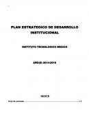 PLAN ESTRATEGICO DE DESARROLLO INSTITUCIONAL
