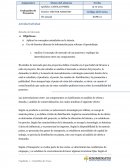 Actividad Individual. Estudio de Mercado