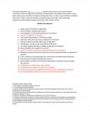 Ingenieria en sistemas. Entrevista con respuestas completas.