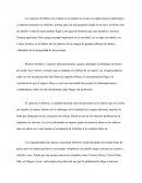 LA OBSESIÓN CON LA BELLEZA EN LATINO AMÉRICA