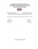 INFORME DE PASANTIAS COMUNITARIA