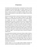 El Experimento.Pelicula