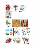 La igualdad de género. Reseña