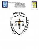 TRABAJO HIGIENE Y SEGURIDAD LABORAL.