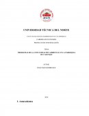 Contaminación de caranqui
