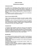 CUENTO DE HADAS. DSCRIPCÓN DE VARIABLES.