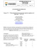 Informe laboratorio contenido de materia organica