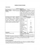 MODELO FICHA TECNICA