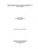 Identificación, evaluación y planes de intervención para proteger la salud