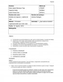 Procesos organizacionales que crean valor Actividad: 1. ¿Qué valora el cliente?