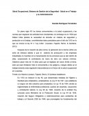 Salud Ocupacional, Sistema de Gestión de la Seguridad.