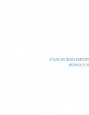 Biologia - Bioelementos.