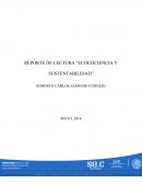 REPORTE DE LECTURA “ECOEFICIENCIA Y SUSTENTABILIDAD”