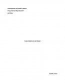 Antropologia de la Plaza Altamira