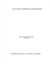 EVALUACION E INTERPRETACION DE INDICADORES. Página 1
