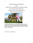 Reconvercion Ganadera