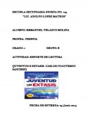 Actividad: Reporte de lectura Juventud e extasis. Carlos Cuautemoc Sanchez